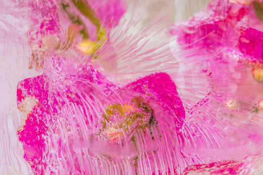 Botanical Frost No 16
